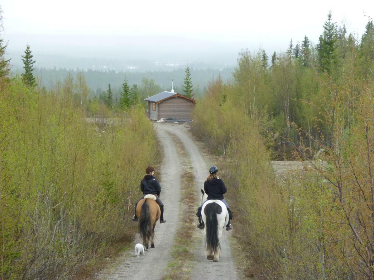 Aha Lodge Sorsele Екстериор снимка