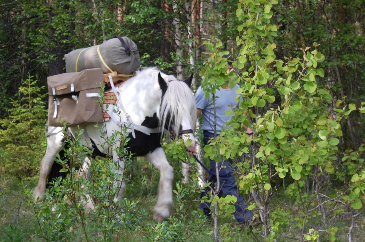 Aha Lodge Sorsele Екстериор снимка