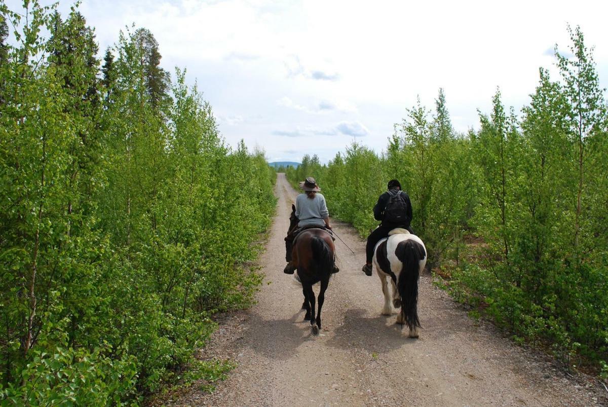 Aha Lodge Sorsele Екстериор снимка